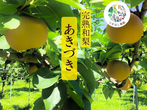 【樹上完熟和梨】あきづき～抜群のシャキシャキ感と濃厚な甘さ～5㎏以上