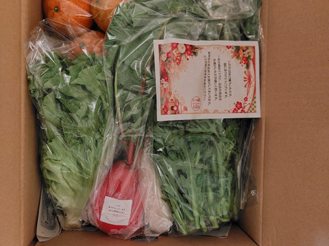 26日～28日発送‼️今年最後のお野菜セット‼️白菜入