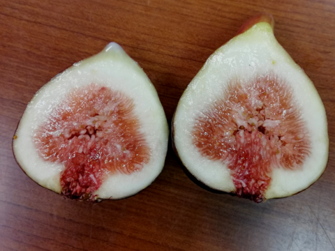 【厳選】朝採れ甘熟イチジク（桝井ドーフィン）