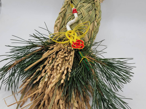 松とプロテアロビンのお正月しめ縄 松とプロテアロビンのお正月しめ縄
