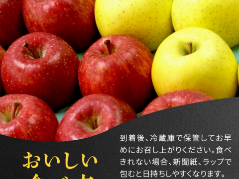 青森県産りんご「鮮度良し冷蔵品」「自社イチオシ」完熟大玉プレミアム葉とらずさんふじ自然味約３kg糖度１３%以上 ※今月で完全終了となります。