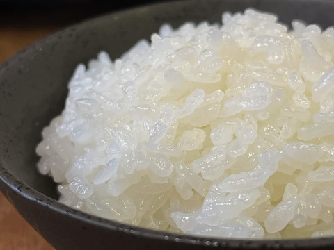 特別栽培米コシヒカリ（白米）5kg 　令和5年石川県産