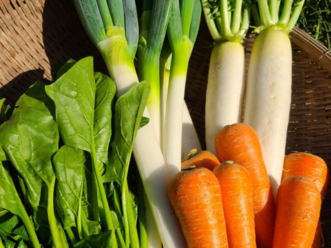 訳あり野菜セット5品　　白ネギ、大根、人参、ほうれん草などなど(農家気まぐれの福袋)