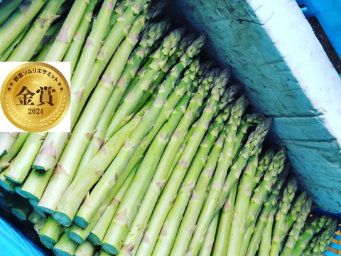 【うまみたっぷり】朝どりアスパラガス　L・M混合 1.5kg