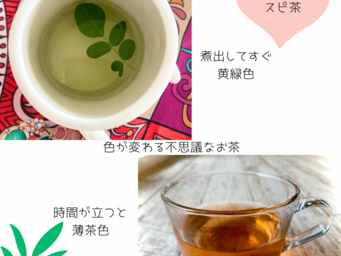 【夏ギフト】モリンガと月桃をブレンド 種子島ハーブティー 1袋3g（煮出し1リットル分）×7 1週間分
