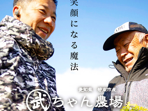 【野菜の福袋】フルーツとうもろこしを福袋特別価格でお届け！限定のおまけ1本付き！