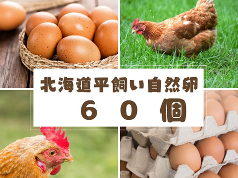 【北海道平飼い自然卵】純国産鶏もみじ60個入り（54個＋破卵補償分6個含む）