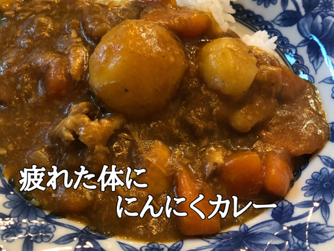 【500箱売れた】食べなきゃ損！人生に一度は食べてみたい★掘りたて青森産「生」にんにく大玉800ｇ