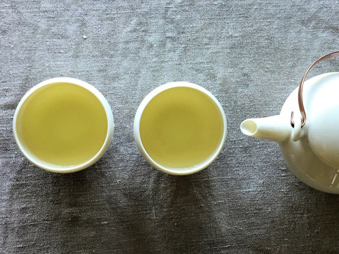 【オーガニック】みどり　南アルプスのオリーブリーフティー