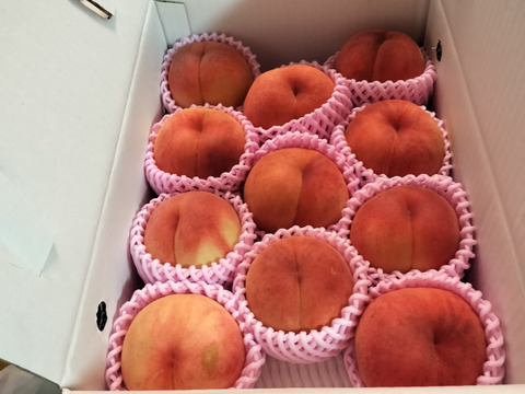 🍑桃の王様　川中島白桃　約3kg　8～14玉　【ASIAGAP認証農場：津軽農園】8月下旬　採れたて農家直送【朝どれ】