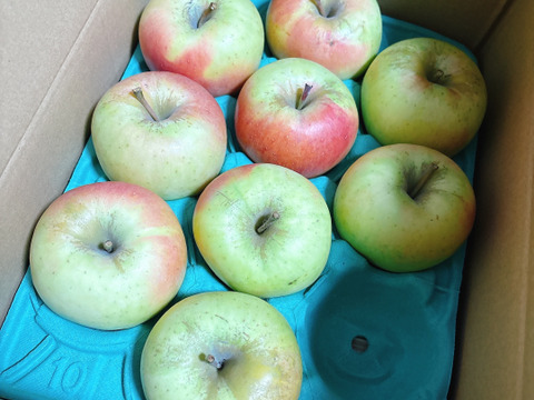 青森県産『ぐんま名月』 家庭用🍏 糖度15度以上！甘～い！ 3㎏k(8～12玉)  【令和8年産早期予約受付！】