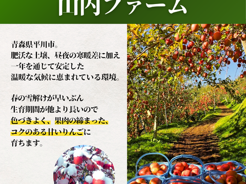 【厳選食べ比べ】青森県サンふじ＆ぐんま名月！贈答用3kg《樹上完熟》《リピート多数》