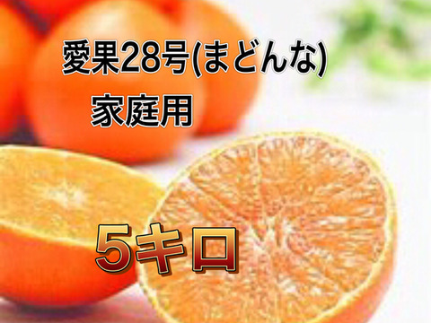 【美味しい愛媛の柑橘?】愛果28號(まどんな) 愛媛県興居島産みかん 家庭用 5キロ※11月下旬配送スタート
