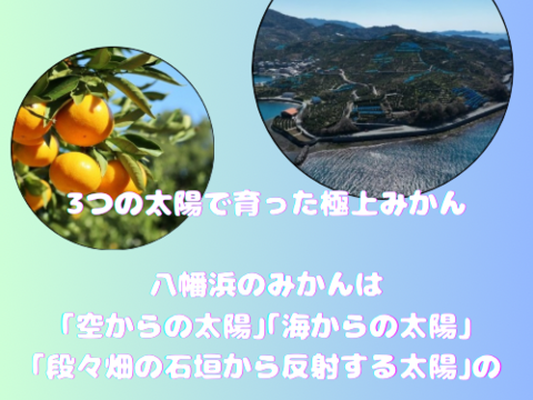 極上小玉みかん3kg