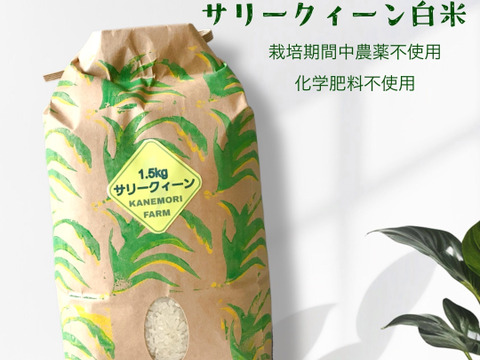 異国感じるお米！『サリークィーン』白米1.5kg