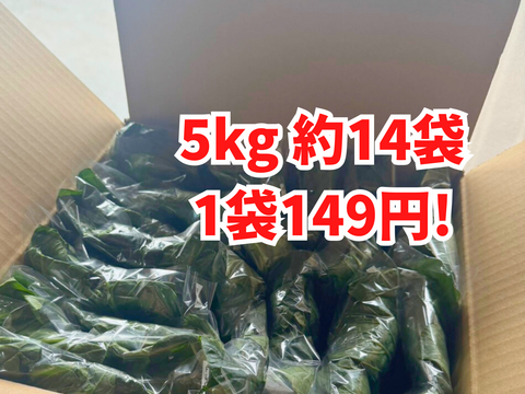 1袋149円！きゅうり社長の不揃い【小松菜】5kg  約14袋 数量限定／朝どり新鮮／常温配送