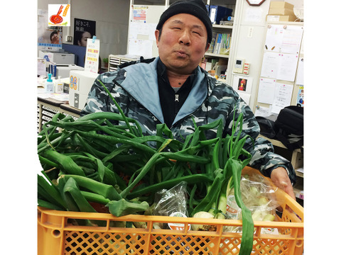 皮ごと茹でて✨美味しい ✨小ぶりな里芋1kg(セレベス:赤目芋)｜農家直送✅｜家庭用🎁❗️