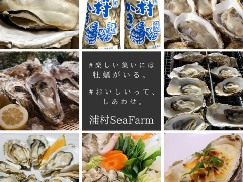 【生牡蠣】【生食用】S～Mサイズ 70個入り 5.5Kg 三重県産 殻付き 浦村かき（7～10人前）
牡蠣 カキ 貝類 海鮮 BBQ 歳暮 熨斗 忘年会 新年会 女子会 誕生日 母の日【冬ギフト】