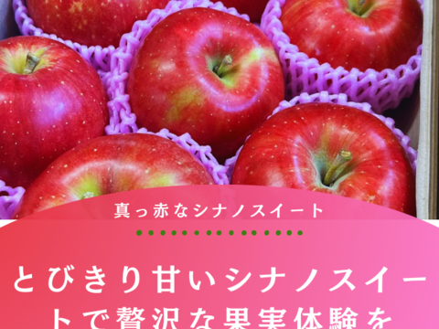【まるで採れたて】シナノスイート 訳あり 10kg りんご 甘い  ご家庭用  果物 フルーツ お中元 ギフト リンゴ アップル   おやつ 子供のおやつ 貯蔵りんご 父の日 まるで採れたて