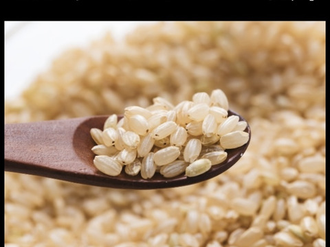 【玄米】玄米といえば！茨城県産 ミルキークイーン 5kg【低アミロース米】