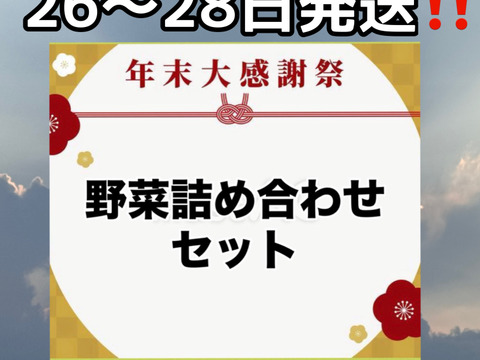 26日～28日発送‼️今年最後のお野菜セット‼️白菜入