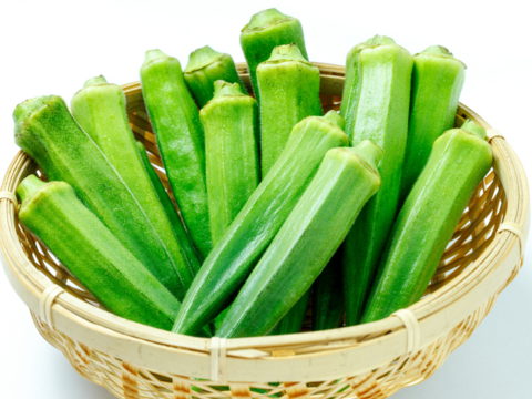 熊本県八代産　朝採おくら　１kg　100本以上