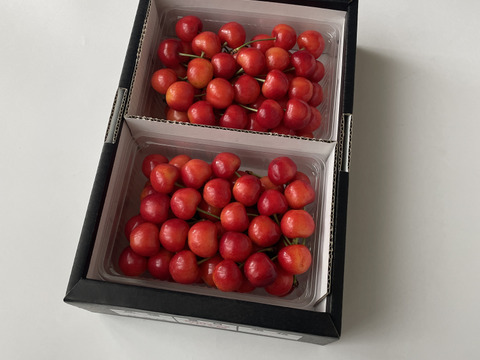 価値ある大粒【佐藤錦】🍒1キロ🍒【２Ｌサイズ以上】【さくらんぼ】【ギフト】【大切な方への贈り物にも】