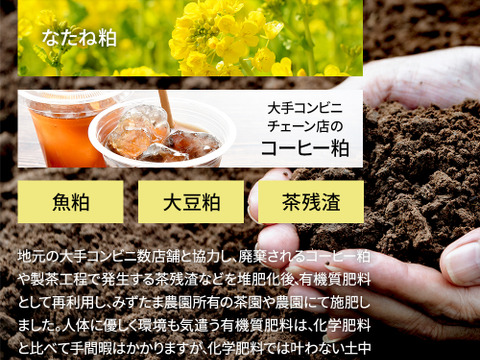 【メール便・単品】農薬も化学肥料も使わないで育てたお茶 茶葉100g 静岡