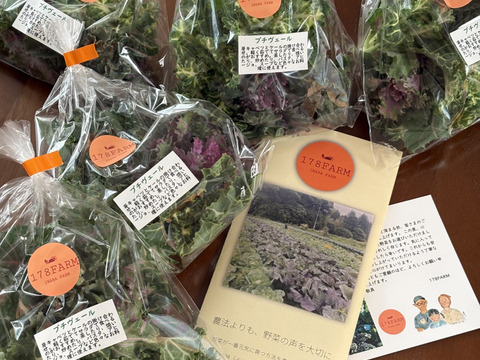 冬の恵 「プチヴェール」2〜3種ミックス80g×5袋