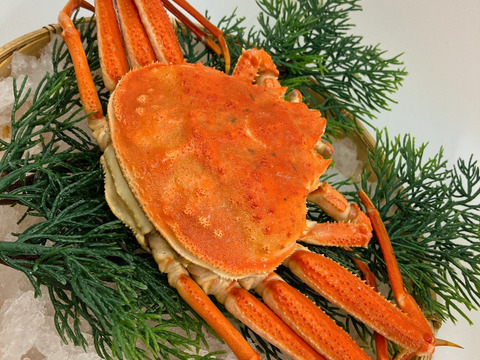 【外子内子ミソmix】茹でセイコガニ1杯約150g×4杯