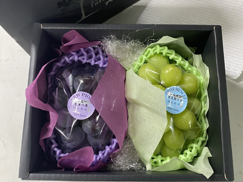 【温室ハウス栽培】 こだわりの高品質ニューピオーネ&シャインマスカット2房計約850g  秀品ランク岡山県産(熨斗対応可) 【夏ギフト】