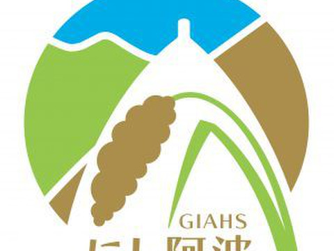 硬く干した干し芋　なると金時300ｇ×３