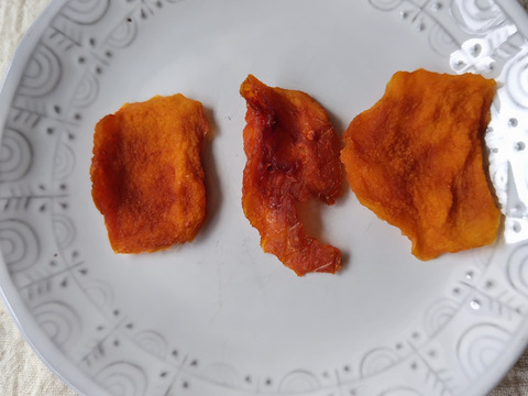 【自然栽培・無添加】南アルプスのセミドライプラム