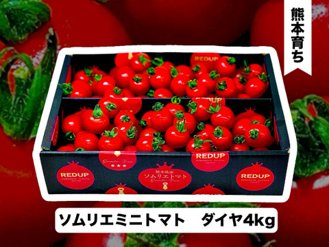 【特別栽培農産物の取得】ソムリエミニトマト　ダイヤ４ｋｇ