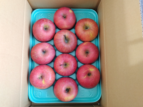 【200円割引き中！！】りんご サンふじ 3kg 8個〜12個入り リンゴ  秋田 雪 甘い  りんご   フルーツ お取り寄せ お取り寄せグルメ アップル  おやつ デザート 母の日 甘いりんご