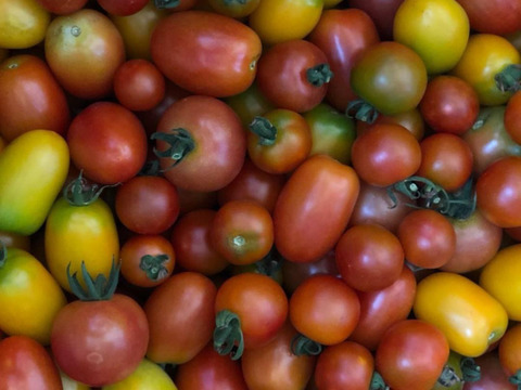 【栄養価が高い】しゅんセット(8〜10品目前後)