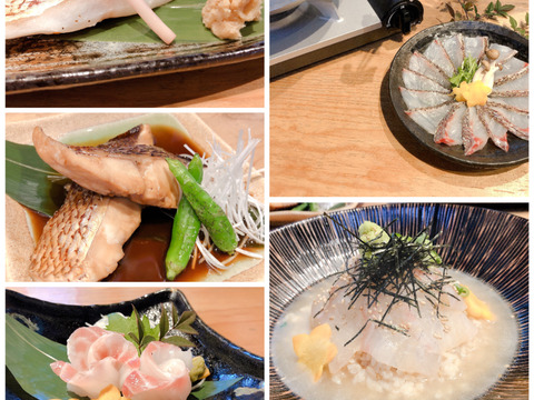 50個 数量限定!静岡産マダイづくしセット!鯛茶漬け2袋・鯛ひもの2枚・鯛煮付け2枚・鯛しゃぶ(3,4人前)を味わえる!