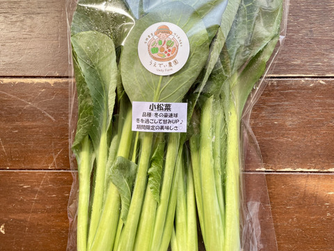 小松菜4kg(200g×20袋) 農薬・化学肥料不使用