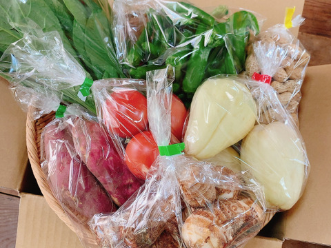 冷蔵便【農薬化学肥料不使用】むらざと自然農園　野菜セット(7品目+おまけ)岐阜県加茂郡白川町黒川　サイズ80の箱に旬のお野菜をお届けします！