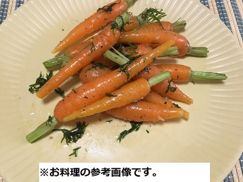葉っぱもおいしい葉つきベビーキャロット 1kg 野菜スティックにおすすめ 農薬 化学肥料不使用 泥なし 埼玉県産 食べチョク 農家 漁師の産直ネット通販 旬の食材を生産者直送 葉っぱもおいしい葉つきベビーキャロット 1kg 野菜スティックにおすすめ 農薬 化学肥料不使用 泥なし 埼玉県産 食べチョク 農家 漁師の産直ネット通販 旬の食材を生産者直送