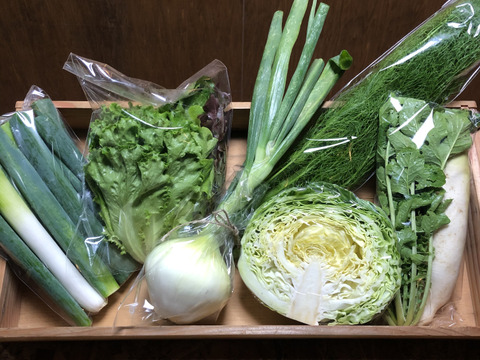 期間限定！霧島産✴︎春の野菜セット✴︎6品目【ハーブもあるよ🌿】