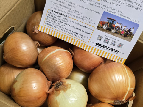 【お陰様でリピーター様多数！】淡路島玉ねぎ「中生種」５kg　特別栽培　ひょうご安心ブランド認証取得