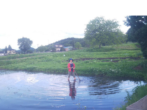 新鮮！旬の野菜セット【Lサイズ : 約7～8kg】【15品目】農薬・化学肥料不使用