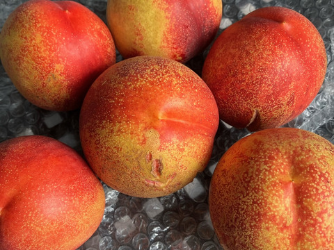 濃厚スイートビーナス ご家庭用B品（約3㎏）