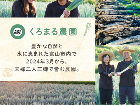 【冬ギフト】とろ甘！泥付きで長持ち！富山県産白ねぎ！焼くだけジューシー、お鍋に主役級の甘さの富山ブランドねぎ！飲食店さん、お裾分けにも大活躍！3Kg(泥付きL•2Lサイズ15〜25本)