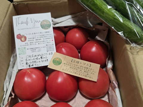 クール便》夏の王様トマト🍅赤熟もぎりの【麗月】小玉11玉詰め