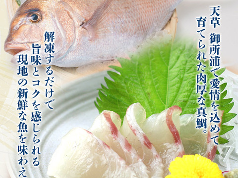 【Firesh®︎】旨味と甘みが溢れる真鯛のサク［生食用］【5～6人前】【単品商品】