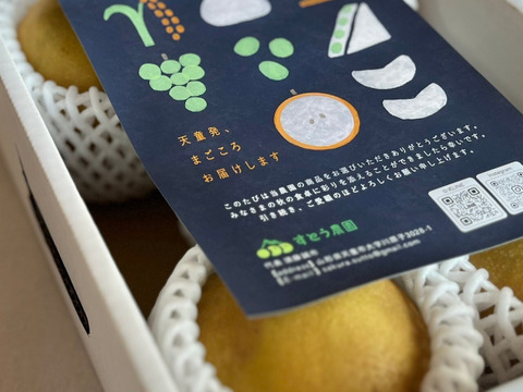 追熟してより甘い！冬に食べる梨【新雪】2.5kg(４～8玉)