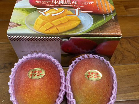 沖縄産★アーウィンマンゴー(贈答用5玉)2kg 数量限定】2025贈答用アーウィンマンゴー2kg 化粧箱入り（送料込
