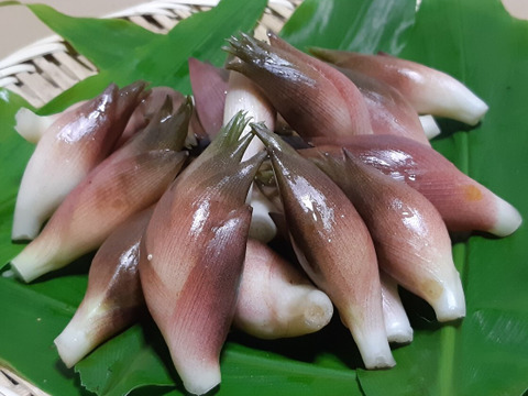 【ｸﾘｯｸﾎﾟｽﾄ】食欲増進・秋みょうが梅酢漬け(200ｸﾞﾗﾑ）※生姜付き